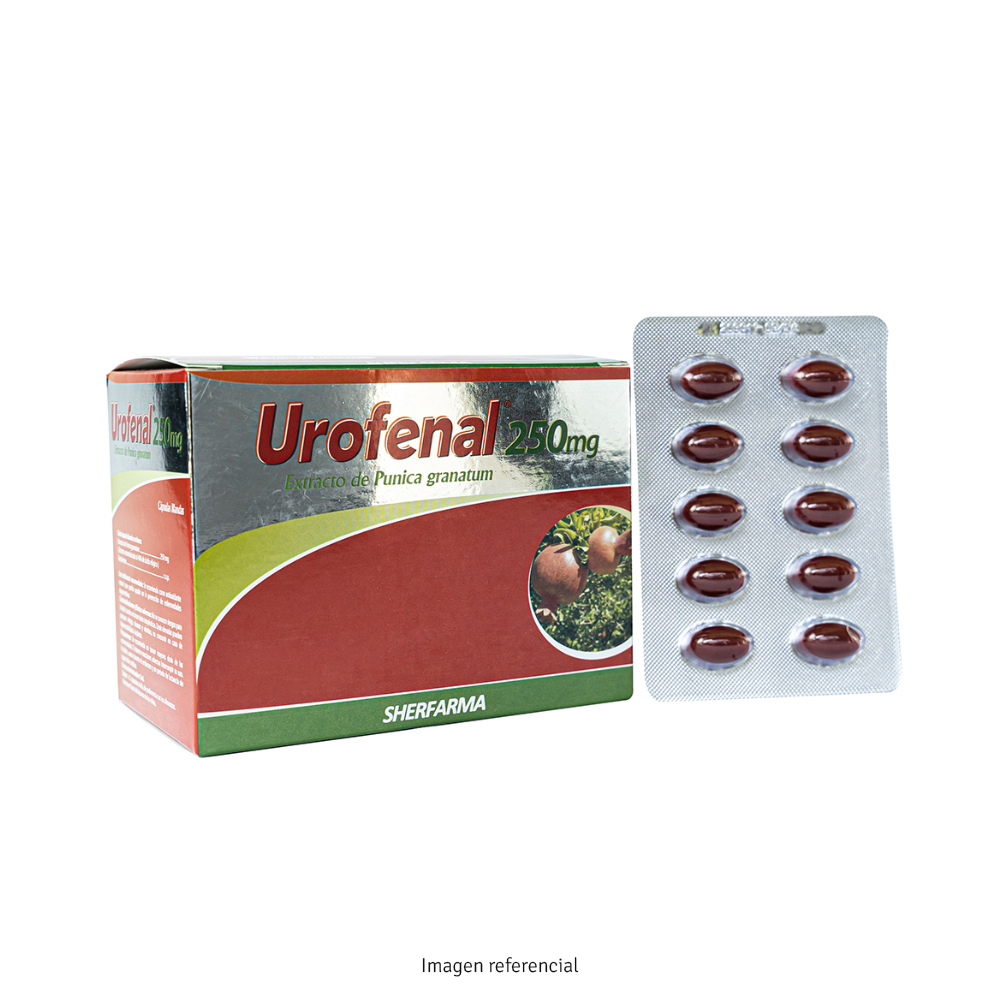 Urofenal 250 mg x 10 Cápsulas xx